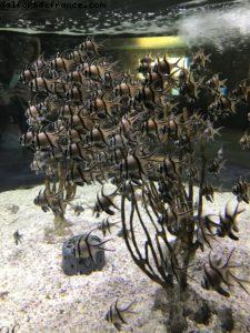 Epcot - Walt Disney World