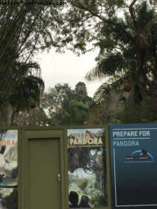 Travaux d'Avatar (Pandora) - Animal kingdom - Walt Disney World
