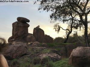 Animal Kingdom - Walt Disney World