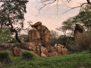 Animal Kingdom - Walt Disney World