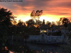 Animal Kingdom - Walt Disney World