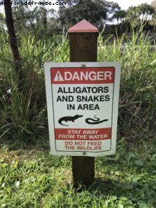 Boardwalk - Walt Disney World