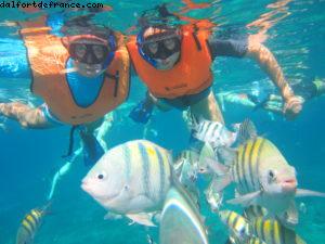 Observation des poissons à Cozumel - Notre 61eme croisière Atlantis (à bord de l'Allure of the Seas)