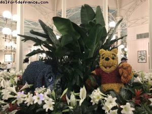 Joyeux anniversaire! Eric! - Crystal Palace Restaurant - Magic Kingdom - Walt Disney World