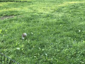 Central Park - New York City