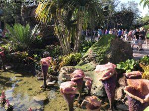 Pandora - Animal Kingdom - Disney Gaydays - Walt Disney World - Orlando