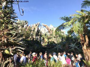 Pandora - Animal Kingdom - Disney Gaydays - Walt Disney World - Orlando