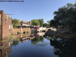 Animal Kingdom - Disney Gaydays - Walt Disney World - Orlando