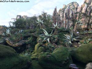 Avatar Flight of Passage - Pandora - Animal Kingdom - Disney Gaydays - Walt Disney World - Orlando