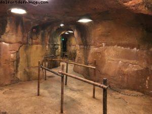 Avatar Flight of Passage - Pandora - Animal Kingdom - Disney Gaydays - Walt Disney World - Orlando