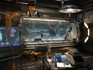 Avatar Flight of Passage - Pandora - Animal Kingdom - Disney Gaydays - Walt Disney World - Orlando