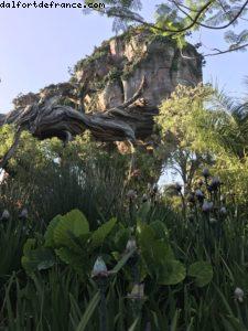 Pandora - Animal Kingdom - Disney Gaydays - Walt Disney World - Orlando