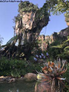 Pandora - Animal Kingdom - Disney Gaydays - Walt Disney World - Orlando