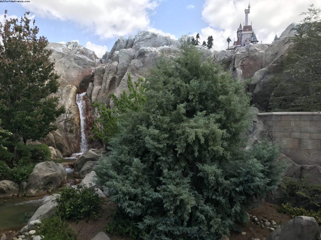 Be our Guest Restaurant - Magic Kingdom - Disney Gaydays - Walt Disney World - Orlando