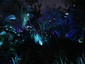 Pandora by night - Animal Kingdom - Disney Gaydays - Walt Disney World - Orlando
