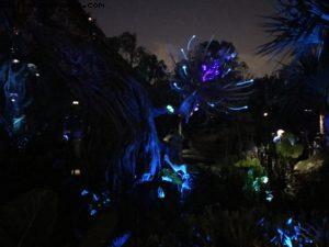 Pandora by night - Animal Kingdom - Disney Gaydays - Walt Disney World - Orlando