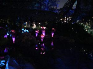 Pandora by night - Animal Kingdom - Disney Gaydays - Walt Disney World - Orlando