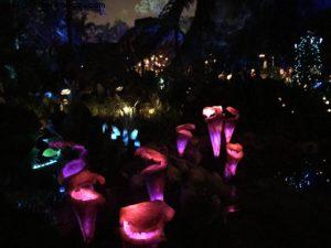 Pandora by night - Animal Kingdom - Disney Gaydays - Walt Disney World - Orlando