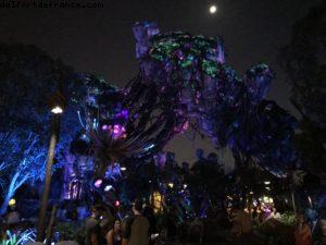 Pandora by night - Animal Kingdom - Disney Gaydays - Walt Disney World - Orlando