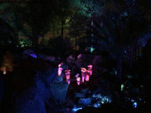 Pandora by night - Animal Kingdom - Disney Gaydays - Walt Disney World - Orlando