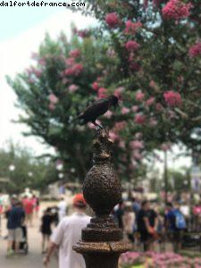 Magic Kingdom - Walt Disney World