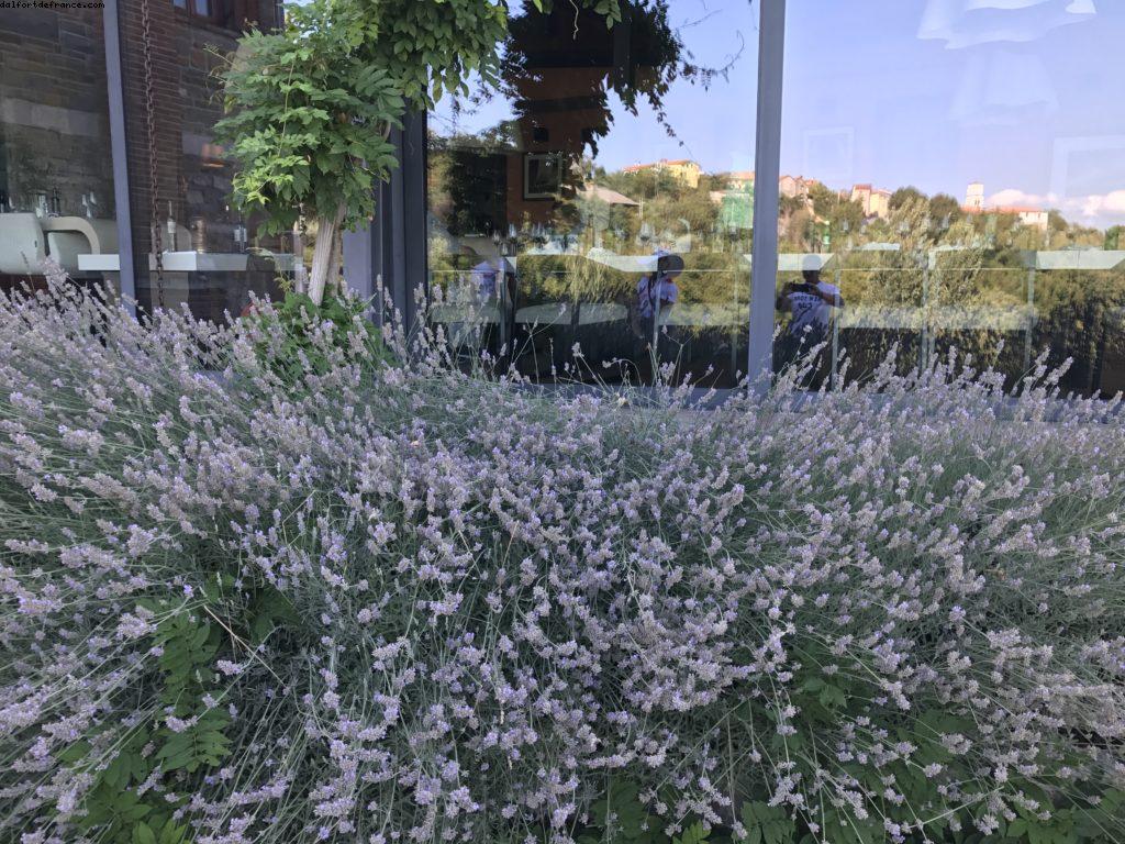 Restaurant Hisa Torkla - Koper - Notre 62eme croisière Atlantis (à bord du Celebrity Constellation)