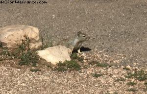 Rive Sud - Grand Canyon Village