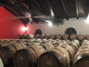 Wine Tasting - Rocche Dei Manzoni - Valentina - Monforte d'Alba