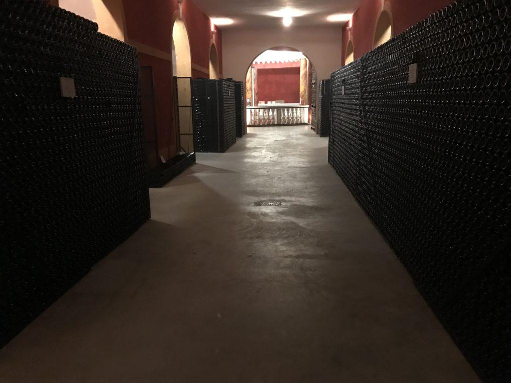 Wine Tasting - Rocche Dei Manzoni - Valentina - Monforte d'Alba