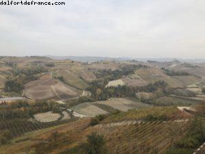 Wine Tasting - Vietti - Castiglione Falletto