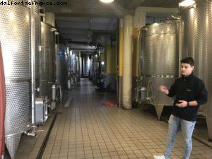 Wine Tasting - Vietti - Castiglione Falletto