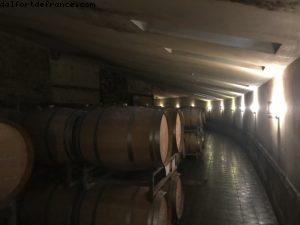 Wine Tasting - Vietti - Castiglione Falletto