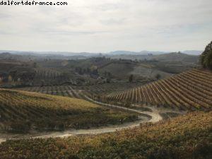 Wine Tasting - Ceretto - Alba