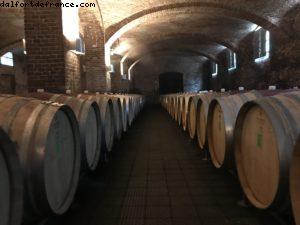 Wine Tasting - Ceretto - Alba