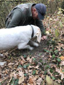 Truffles Hunting with Marco and Roki- La Morra