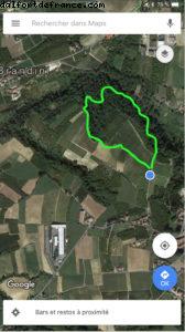 Truffles Hunting with Marco and Roki- La Morra