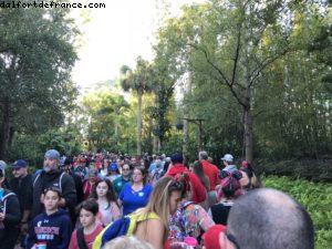Animal Kingdom - Walt Disney World