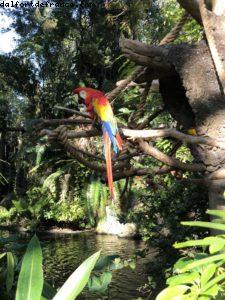 Animal Kingdom - Walt Disney World