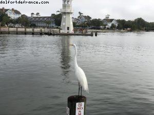 Boardwalk - Walt Disney World