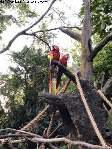 Animal Kingdom - Walt Disney World