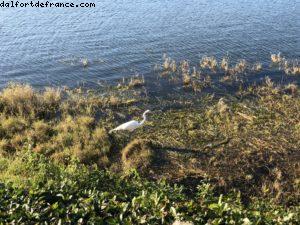 Boardwalk - Walt Disney World
