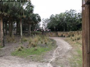 Animal Kingdom - Walt Disney World