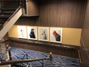 Notre 64eme croisière Atlantis (à bord de l'Harmony of the Seas)