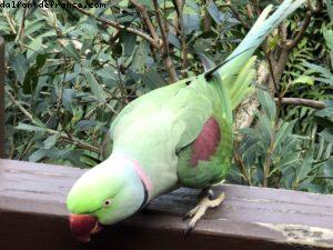 Hong Kong Park - Hong Kong