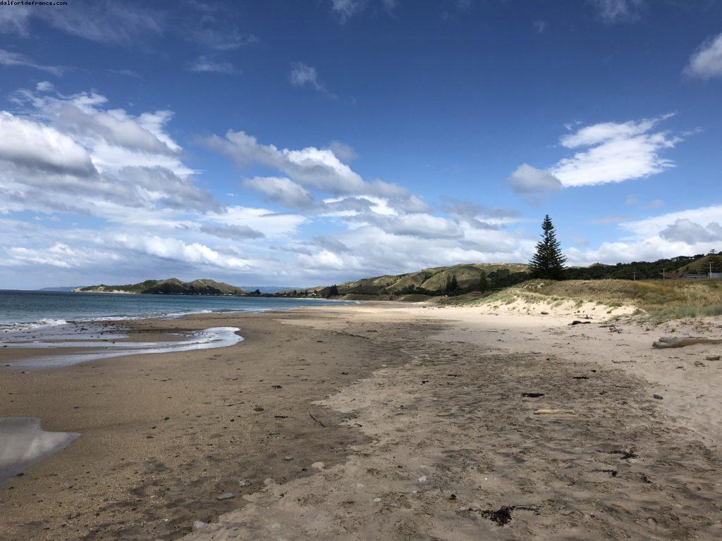 Conduite autour de Gismore - Notre 65eme croisière Atlantis (à bord du Noordam)