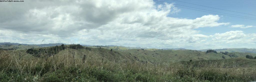 Conduite autour de Gismore - Notre 65eme croisière Atlantis (à bord du Noordam)
