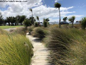 Tolaga Bay Wharf - Conduite autour de Gismore - Notre 65eme croisière Atlantis (à bord du Noordam)