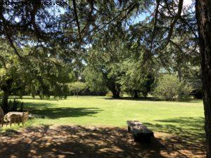 Jardin botanique - Conduite autour de Gismore - Notre 65eme croisière Atlantis (à bord du Noordam)