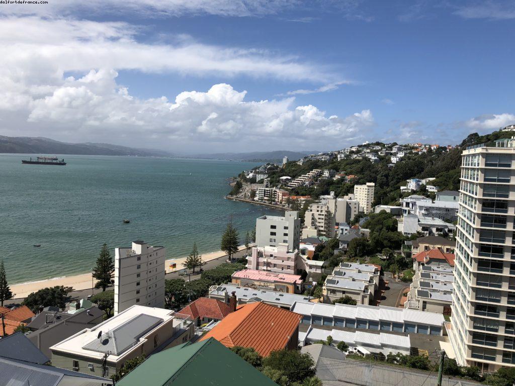 Randonnée au mont Victoria - Wellington - Notre 65eme croisière Atlantis (à bord du Noordam)