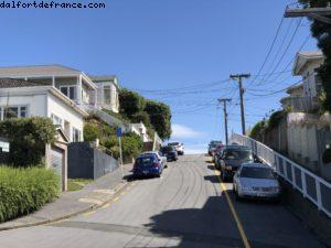 Randonnée au mont Victoria - Wellington - Notre 65eme croisière Atlantis (à bord du Noordam)